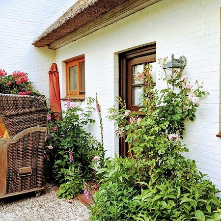 Ferienhaus Ebbe Und Flut, Terrassen-Whg Nieblum Esterno foto