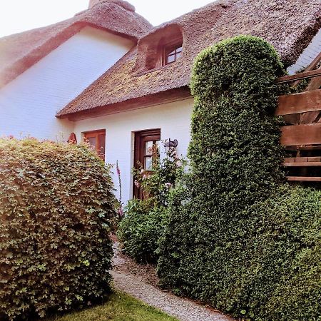 Ferienhaus Ebbe Und Flut, Terrassen-Whg Nieblum Esterno foto